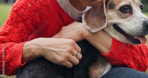 Hands, person and hug dog at park with love, bonding affection as pet owner in Japan. Outdoor, garden and closeup of animal for adoption or loyalty with kindness, peace and friendship or trust photo