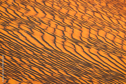 Details of the sand dunes at Mesquite Flat, Death Valley, California, United States of America, North America photo