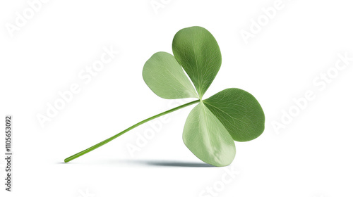 Clover isolated on white background, clipping path, full depth of field.