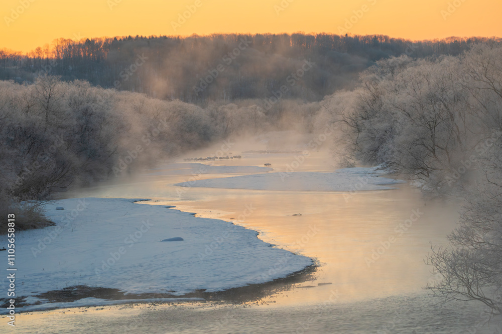The Setsuri River that flows beneath the Otowabashi Bridge does not freeze over in winter, and the area becomes a precious roosting place for Japanese cranes. The Setsuri River that flows beneath the Otowabashi Bridge does not freeze over in winter, and the area becomes a precious roosting place for Japanese cranes.