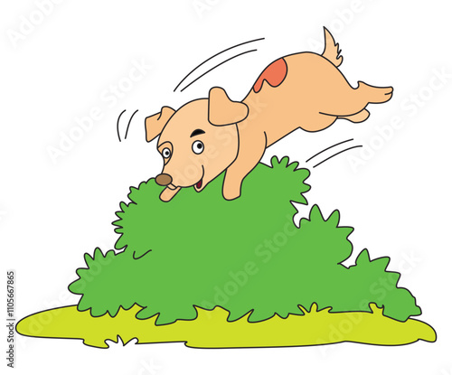 Happy dog playing in the playground