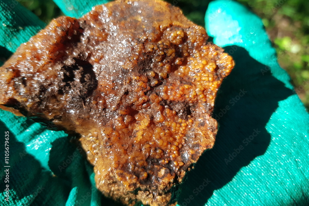 Fototapeta premium Bright sample of chalcedony with spherulites in the sun, field photo, rockhounding