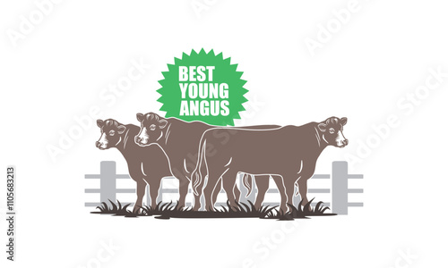 young angus cow standing logo, silhouette of healthy cattle in ranch vector illustrations