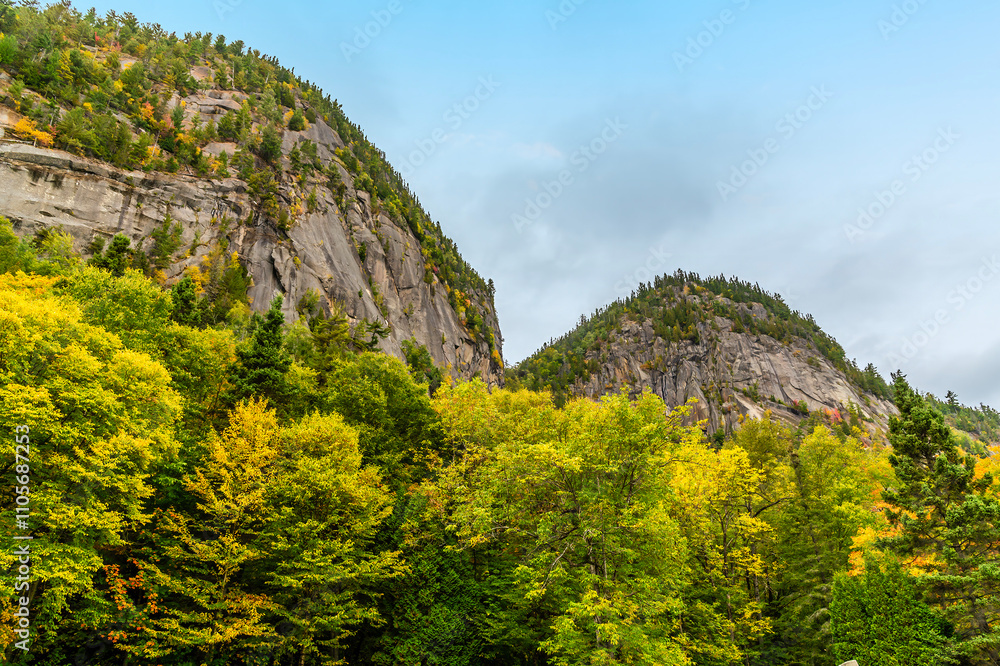 A view above the treetops towards the rock face at Saguenay Fjord National Park, Quebec in Canada in the fall A view above the treetops towards the rock face at Saguenay Fjord National Park, Quebec in Canada in the fall