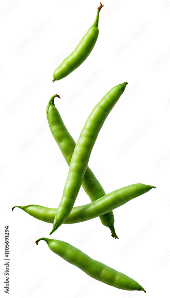 Fresh Green Pea Pods on a Dramatic transparent Background Fresh Green Pea Pods on a Dramatic transparent Background