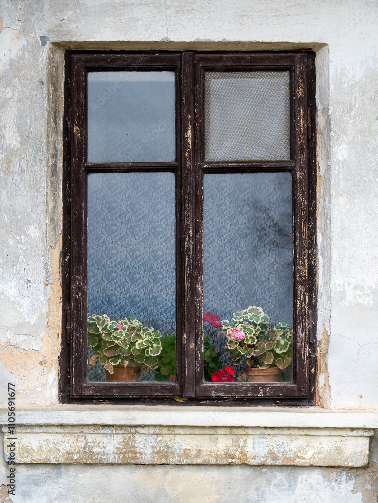 A rustic image of an old wooden window with plants and flowers visible behind the glass, capturing a cozy and timeless atmosphere of simple countryside charm