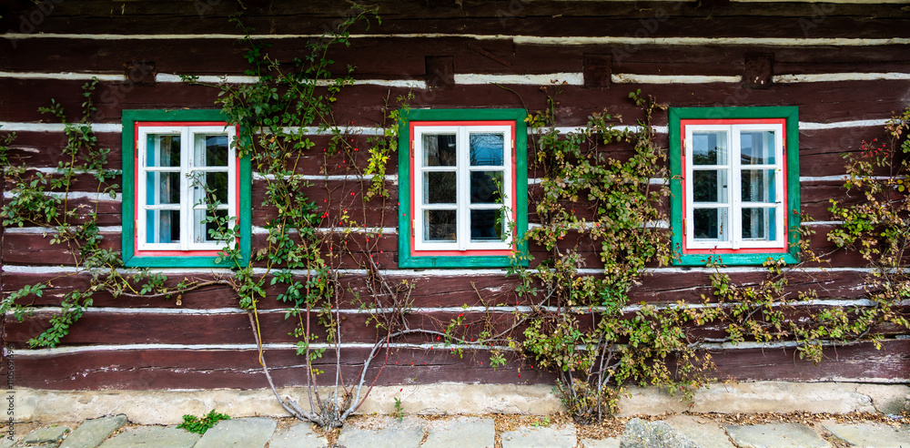 A picturesque view of a timbered cottage wall with wooden windows, entirely covered by a lush climbing plant, blending natural beauty with rustic architecture