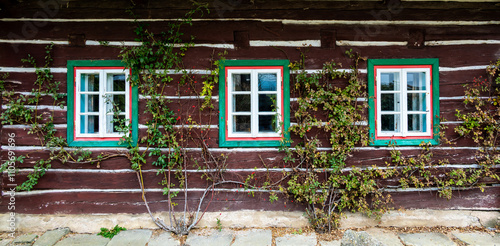 Obraz na płótnie A picturesque view of a timbered cottage wall with wooden windows, entirely covered by a lush climbing plant, blending natural beauty with rustic architecture w salonie