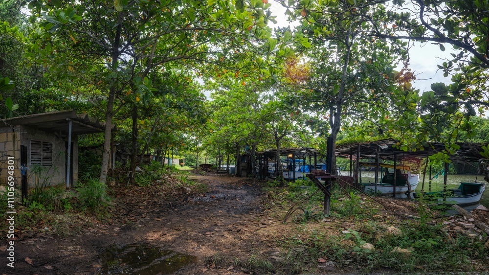 Muddy path surrounded by greenery and boats in a fishing area on San Juan River in Matanzas, Cuba Muddy path surrounded by greenery and boats in a fishing area on San Juan River in Matanzas, Cuba