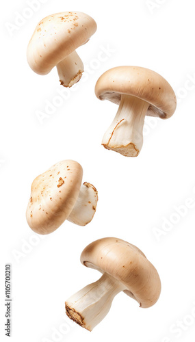 Fresh Mushrooms Floating in transparent Background Capturing Culinary Essence