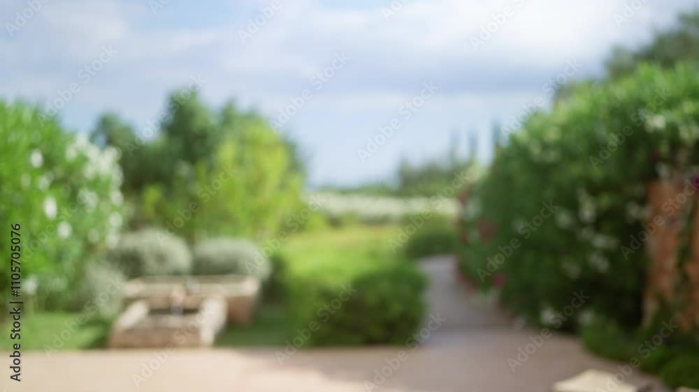 Blurred outdoor scene in a mallorca garden with bokeh effect and lush greenery Blurred outdoor scene in a mallorca garden with bokeh effect and lush greenery