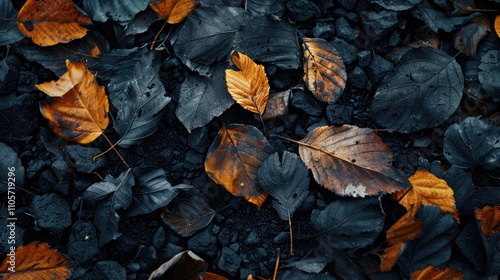 Only ashes left after burning leaves. photo