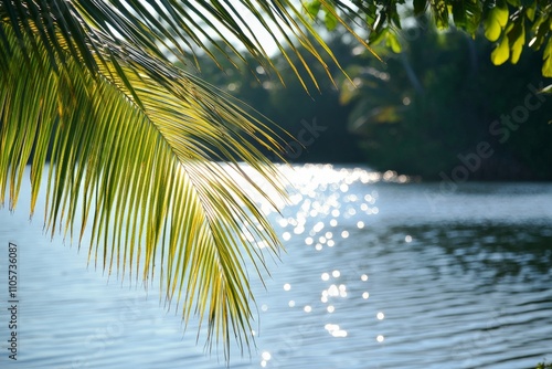 Sunlit palm fronds stretch over a sparkling body of water, reflecting the light in a picturesque scene filled with tropical serenity and natural elegance. photo