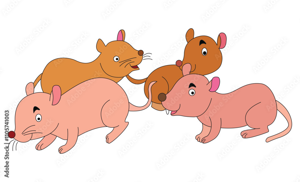 A rat isolated on a white background A rat isolated on a white background
