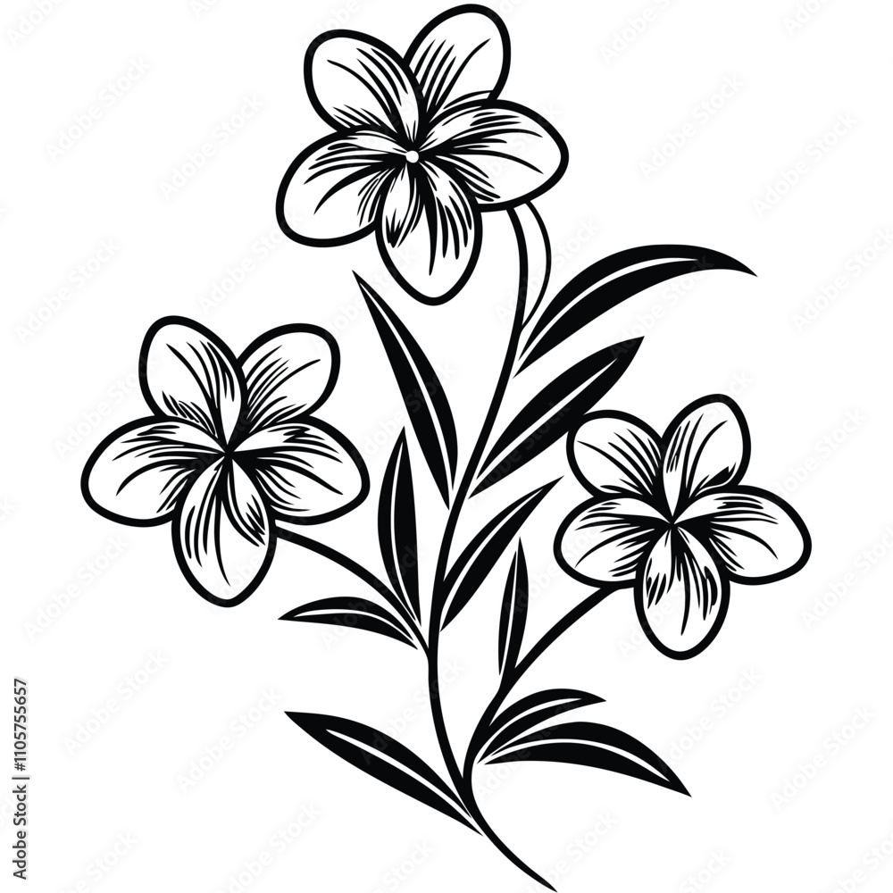 a black and white line drawing of a branch with three flowers a black and white line drawing of a branch with three flowers