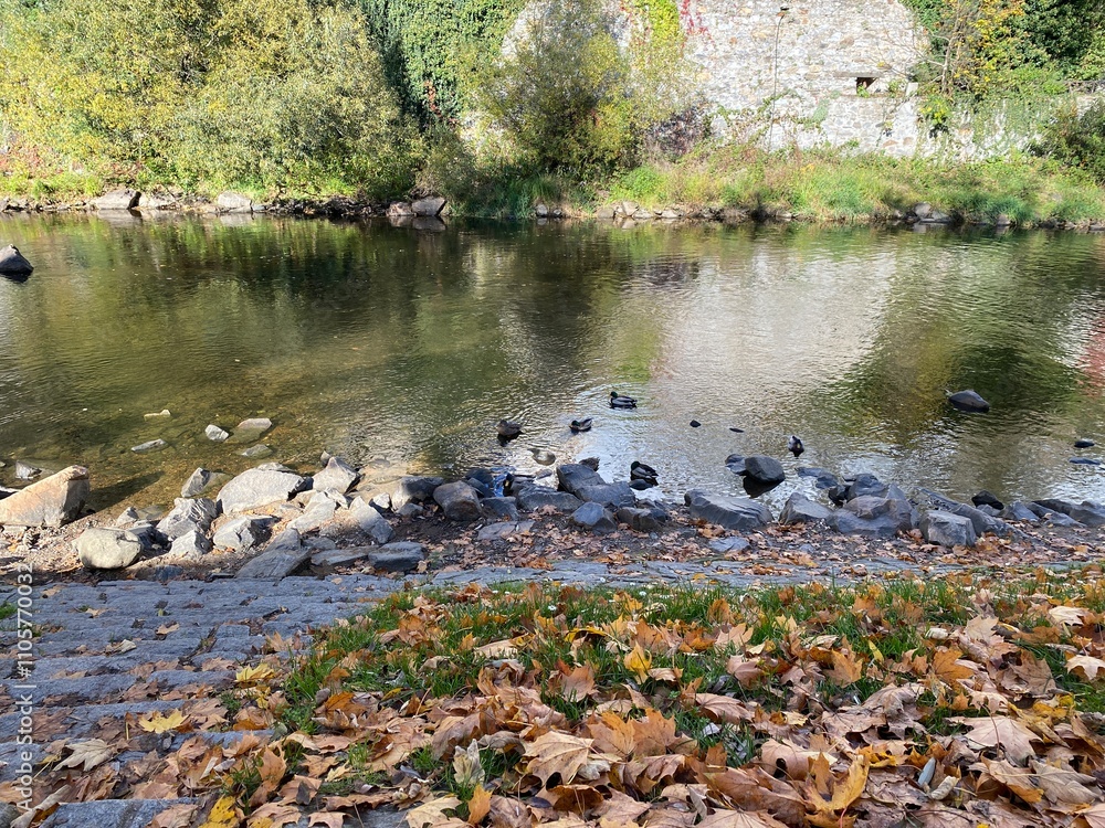 autumn in the park(Cesky Krumlov, Czech Republic) autumn in the park(Cesky Krumlov, Czech Republic)