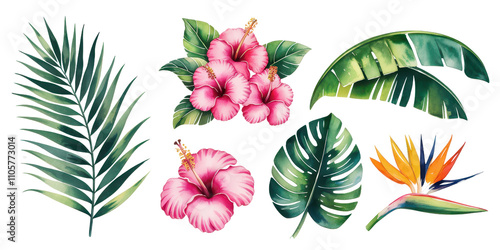 Tropical Watercolor Collection:  A vibrant and exotic collection of watercolor illustrations featuring hibiscus flowers, palm leaves, monstera leaves, and a bird of paradise.