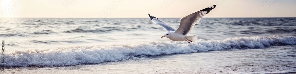 Seagull flying over cresting wave at sunset Seagull flying over cresting wave at sunset