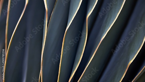 Close-up showcase of unique cactus spikes