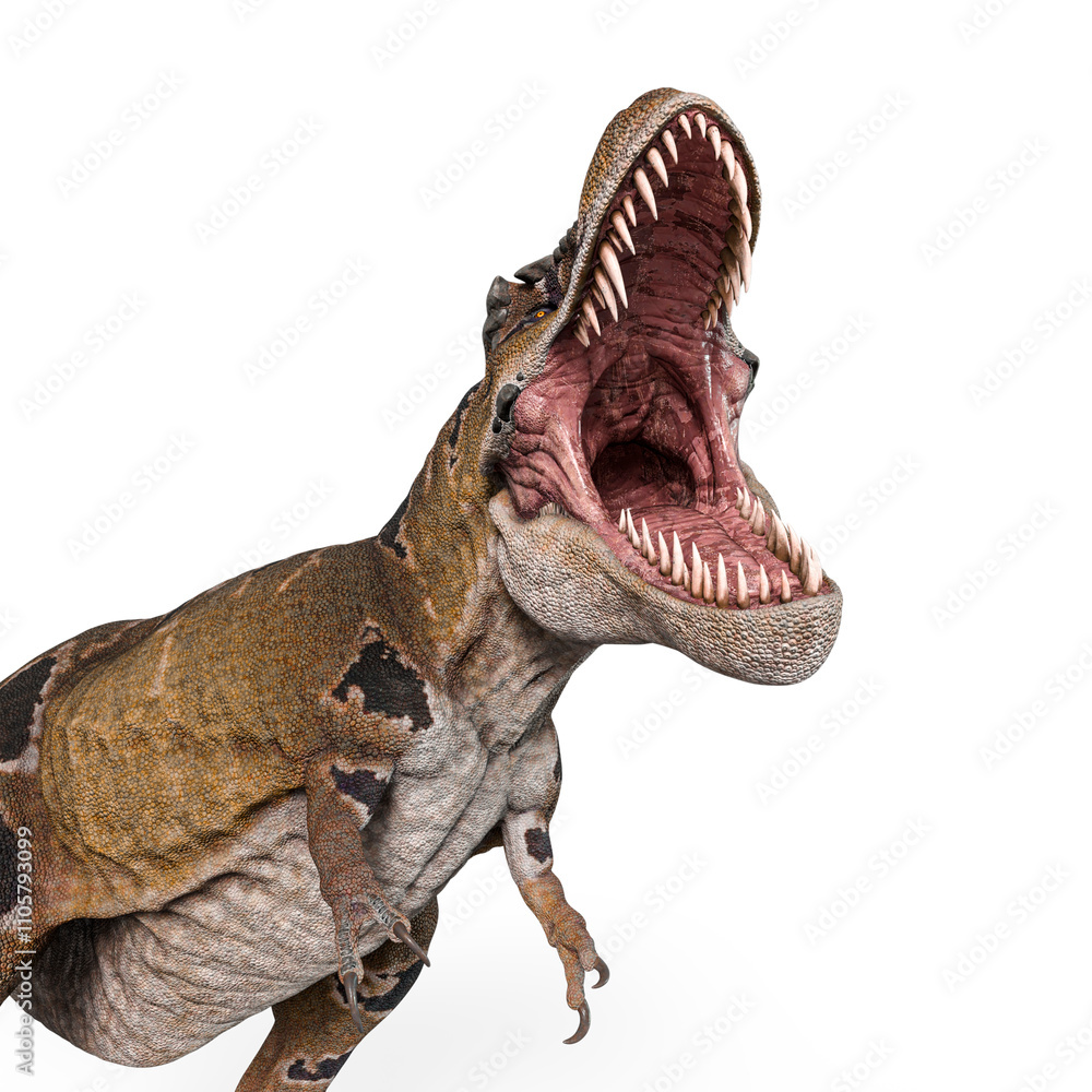 Fototapeta premium tyrannosaurus mcraeensis is angry and hungry in white background in cool view