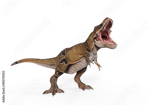 tyrannosaurus mcraeensis is angry and hungry in white background photo