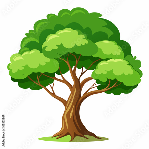 Jiya Tree Vector Illustration on White Background