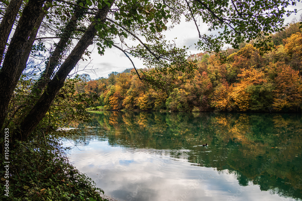 Fototapeta premium adda river during the autumnal season, lecco