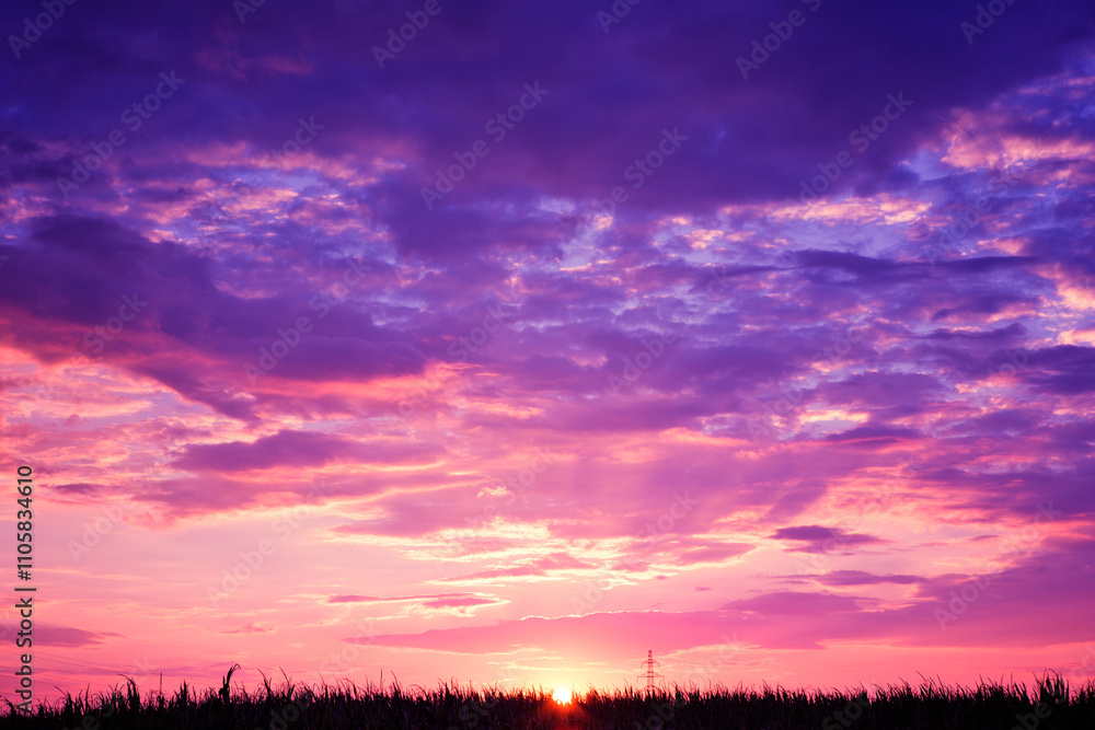 Stunning Purple and Pink Sunset Over Field Stunning Purple and Pink Sunset Over Field