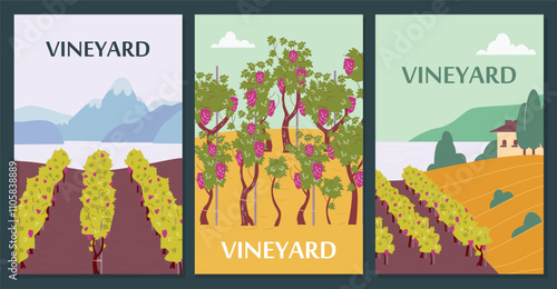 Set of postcards or flyers with vineyard fields flat style, vector illustration