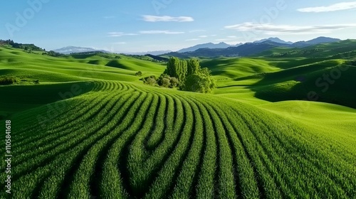 Lush Green Landscape with Rolling Hills, Wavy Patterns in Fields and Serene Blue Sky, Capturing the Beauty of Nature and Agriculture in the Countryside