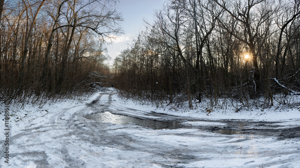 A snowy path with icy patches in a quiet forest under the soft light of sunset. A snowy path with icy patches in a quiet forest under the soft light of sunset.