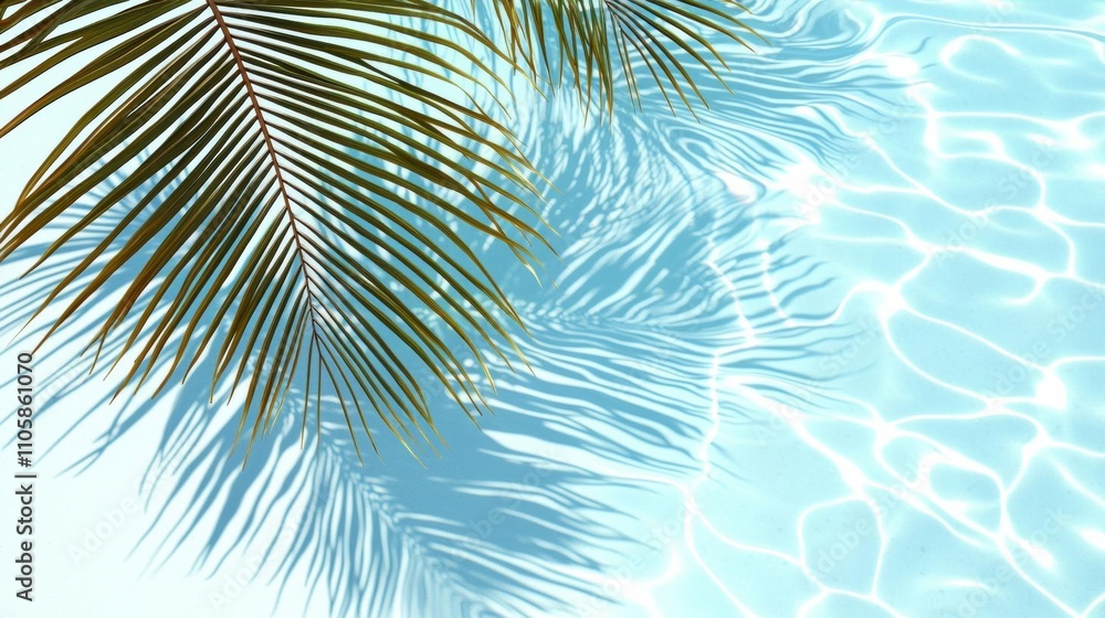 a photostock of a Aqua waves and coconut palm shadow on blue background a photostock of a Aqua waves and coconut palm shadow on blue background