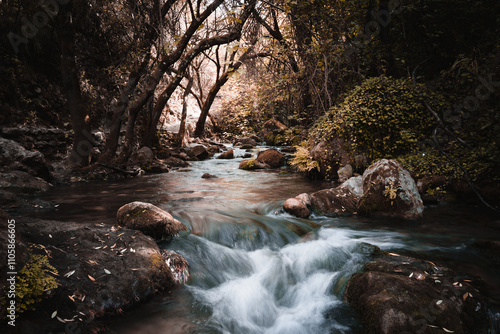 A calm river with silky water reflects the soft light; tall trees and a shadowy grove frame the scene, creating a serene and ethereal atmosphere.