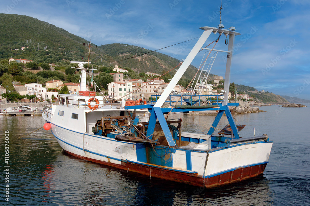 Alici di Menaica or Menaica’s anchovies are anchovies that are washed on board the fishing boat and whose heads are removed to clean them of blood and then put in salt in Pisciotta Cilento Campania IT Alici di Menaica or Menaica’s anchovies are anchovies that are washed on board the fishing boat and whose heads are removed to clean them of blood and then put in salt in Pisciotta Cilento Campania IT