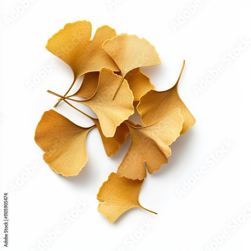 Vibrant Golden Ginkgo Biloba Leaves with Unique Fan Shaped Patterns on White Background photo