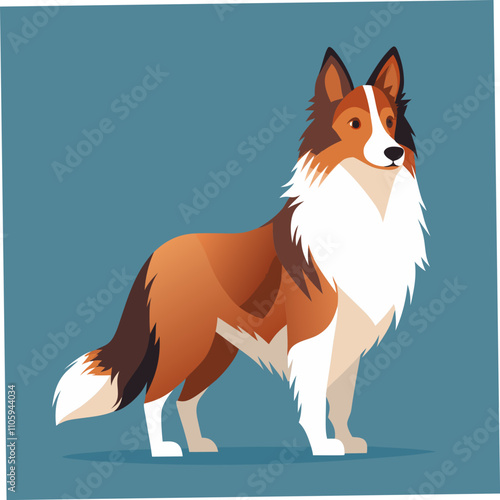 Charming Shetland Sheepdog illustration showcasing the breed's affectionate nature and loyalty to humans. Perfect for pet lovers, design projects, and micros tock websites.