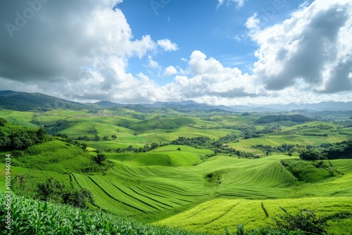 Landscape view of rice terraces in Asia, highlighting bio-ecological beauty and agricultural harmony.. Beautiful simple AI generated image