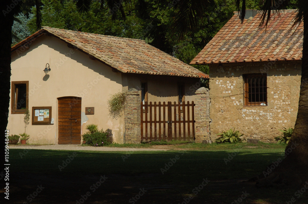 Fototapeta premium Parco, case, palme