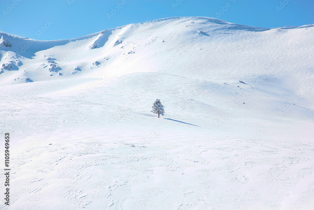 Winter Season in the Uludag National Park, Uludag Ski Center Bursa, Turkiye (Turkey) Winter Season in the Uludag National Park, Uludag Ski Center Bursa, Turkiye (Turkey)