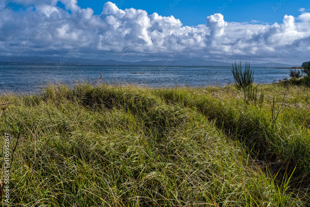 A hiking trail cuts through the grass to the Willapa Bay shore at Leadbetter Point State Park, Washington, USA A hiking trail cuts through the grass to the Willapa Bay shore at Leadbetter Point State Park, Washington, USA