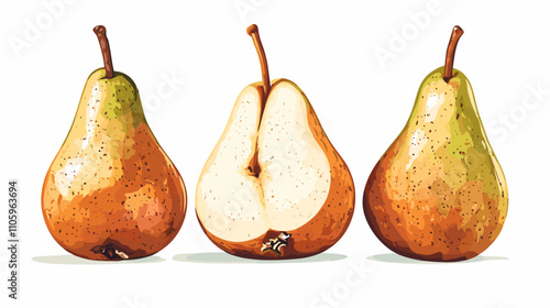Set of pear fruit watercolor isolated clipart pears on white background. Vector fruits illustration