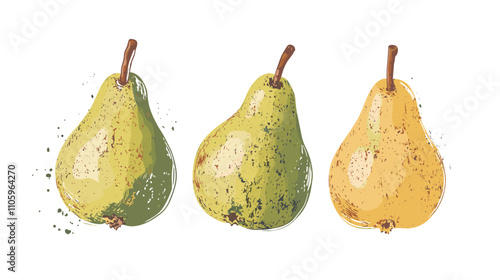 Set of pear fruit watercolor isolated clipart pears on white background. Vector fruits illustration