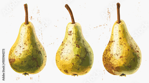Set of pear fruit watercolor isolated clipart pears on white background. Vector fruits illustration