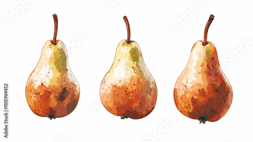 Set of pear fruit watercolor isolated clipart pears on white background. Vector fruits illustration