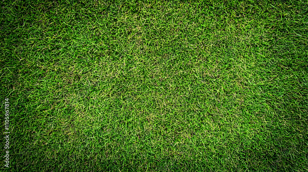 Fototapeta premium A Close-Up View of Lush Green Grass Blades Intertwined, Forming a Dense and Vibrant Texture, Ideal for Backgrounds and Design Elements.