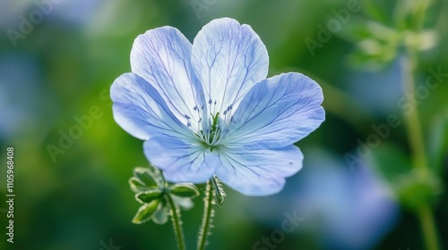 A close-up of a rare and elusive flower blooming in the wild, capturing its delicate beauty in nature