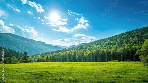 Scenic green mountain meadow with forest and blue sky. Beautiful nature landscape for background with bountiful harvest.