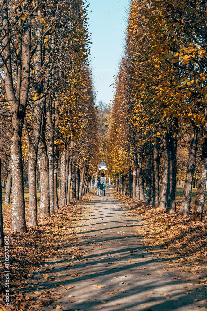 Naklejka premium The park of the Arkhangelskoe estate in Krasnogorsk, Moscow region. Autumn landscape of the alley