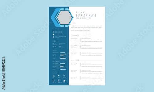 Professional Resume curriculum template design