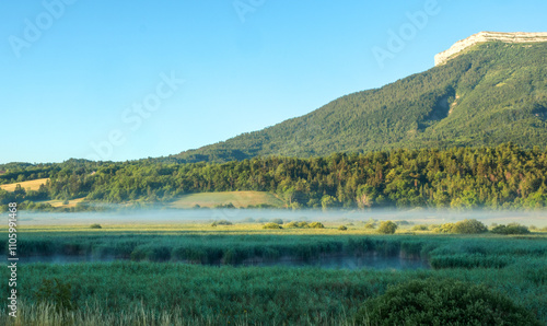  Puddle of water amidst vegetation and a long strip of white mist just above the ground at dawn photo